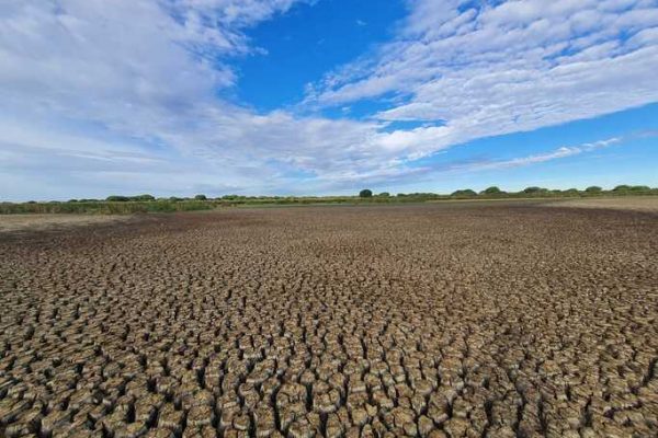 Una de las lagunas del Parque Nacional de Doñana completamente seca por la falta de agua y la sequía.