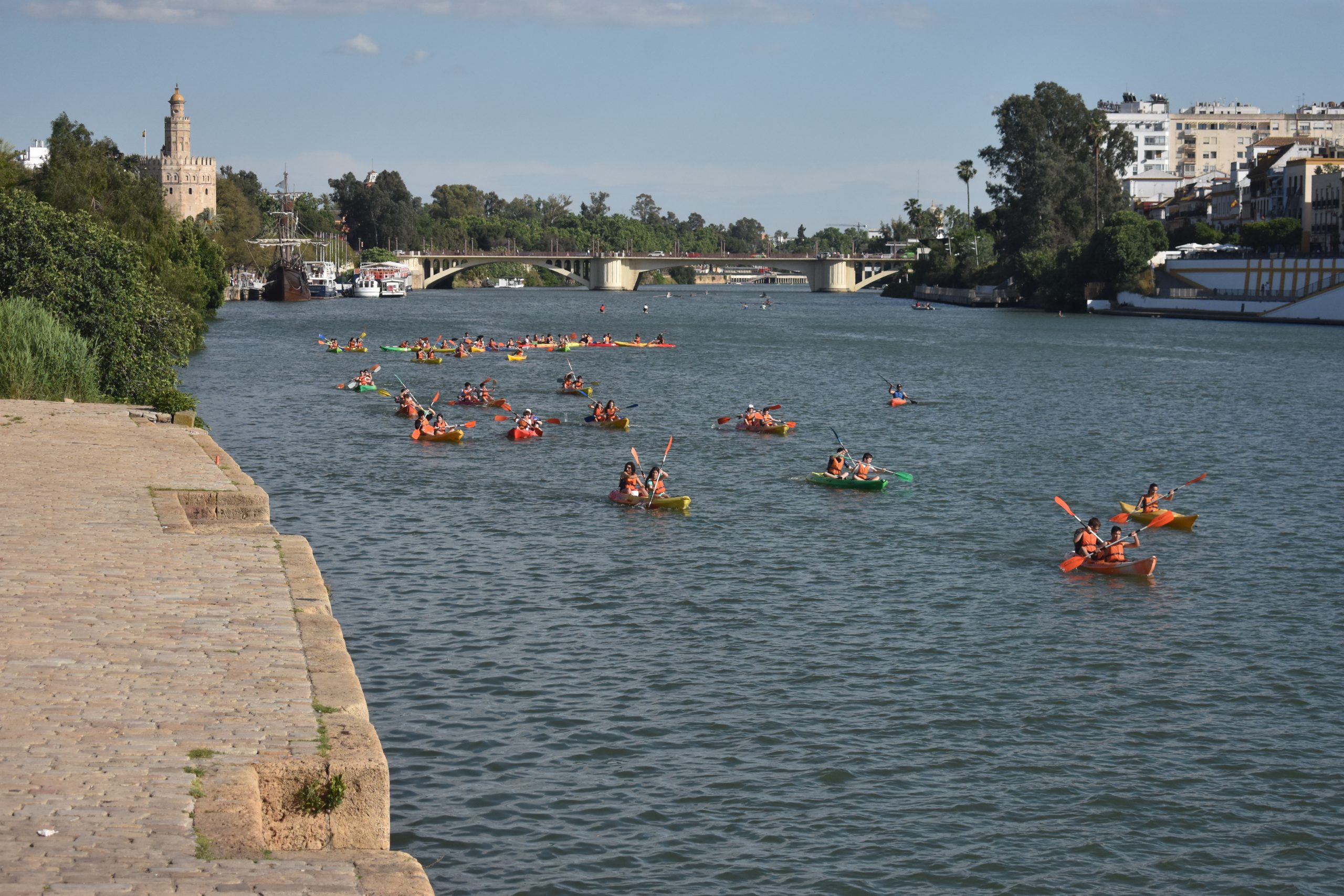 Varios kayak navegando por el río Guadalquivir