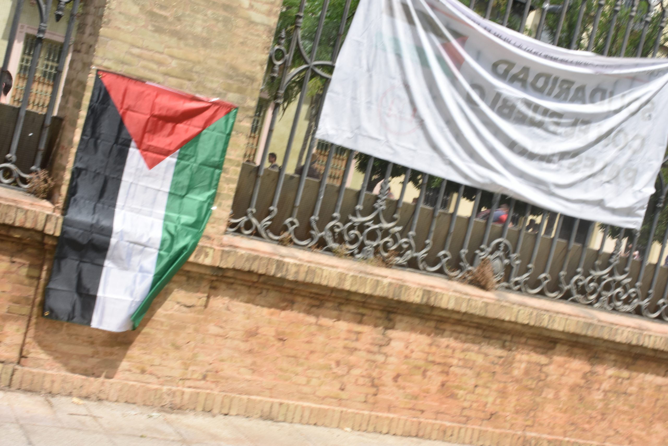 Bandera de Palestina en el Rectorado de la US (Universidad de Sevilla) durante las acampadas de los universitarios.