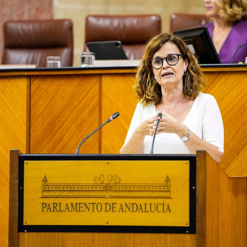 Esperanza Gómez, diputada Por Andalucía