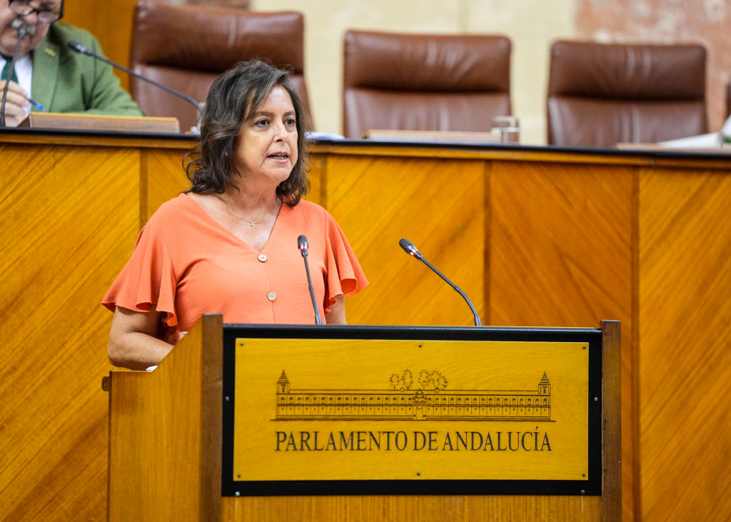 Catalina García, consejera de Salud y Consumo