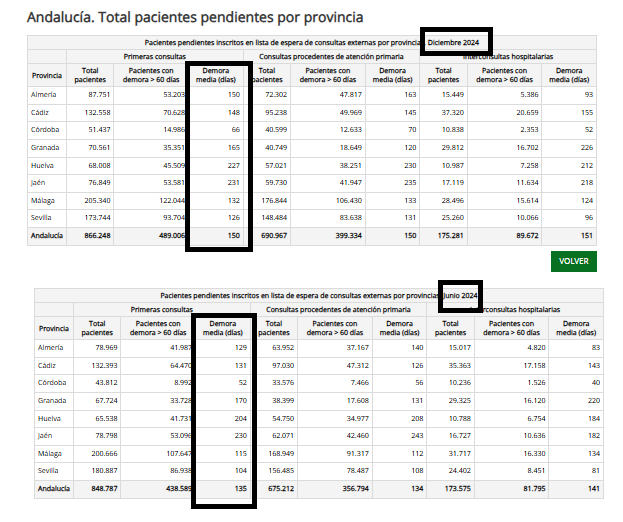pacientes consultas externas diciembre 2024