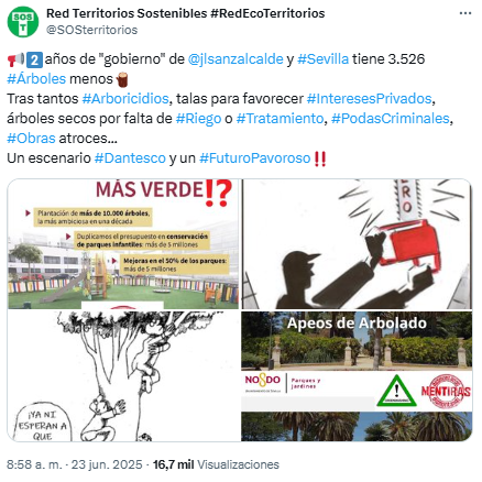 red territorios sostenibles árboles menos en Sevilla, tras tala de ficus de san jacinto
