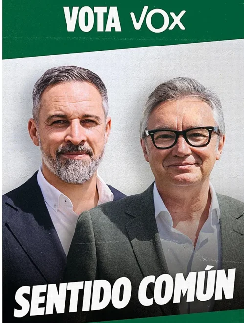 cartel-electoral-vox-499x660