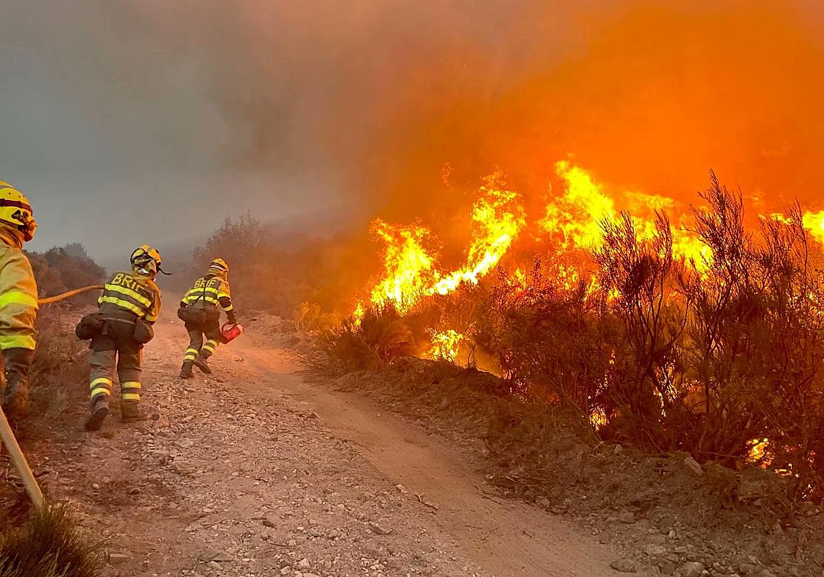 Bomberos de INFOCA actuando en el incendio de Los Gallardos (Almería)